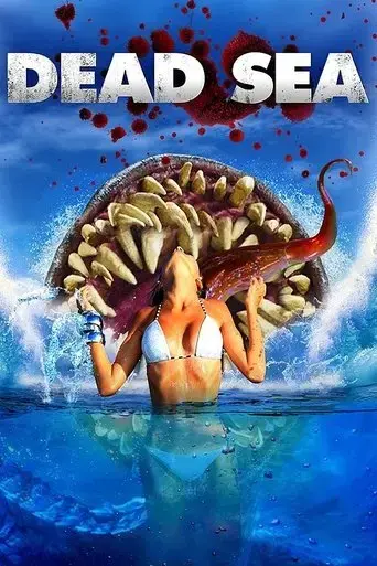 dead-sea-2014