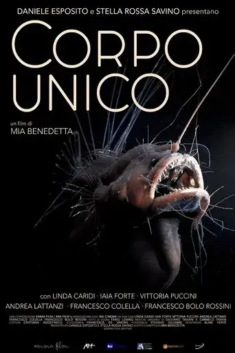 corpo-unico-2023