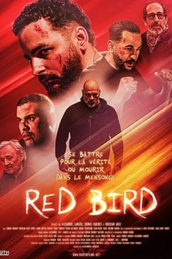 red-bird-2025