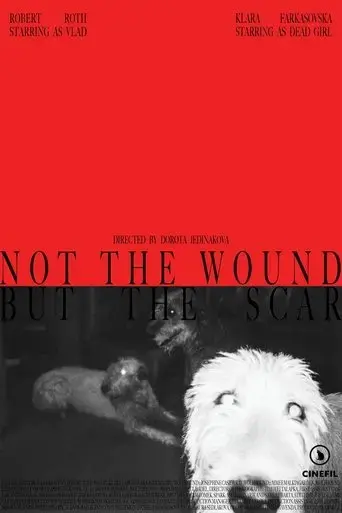 not-the-wound-but-the-scar-2025