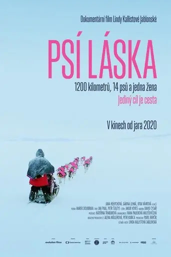 psi-laska-2020