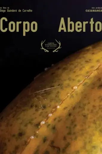 open-body-2019