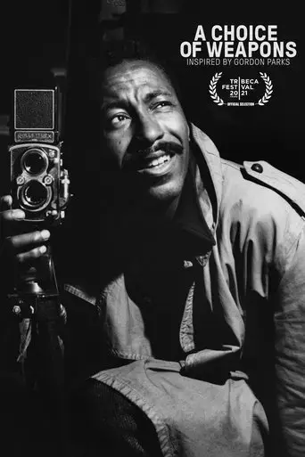 a-choice-of-weapons-inspired-by-gordon-parks-2021