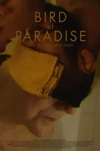 bird-of-paradise-2019