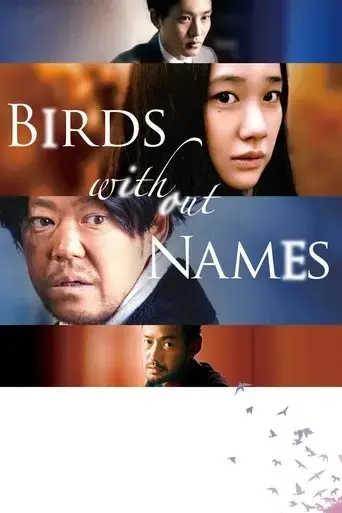 birds-without-names-2017