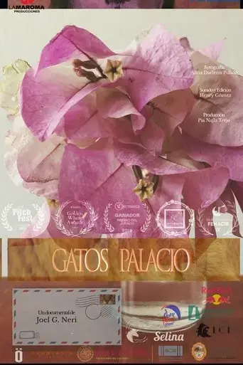 gatos-palacio-2021
