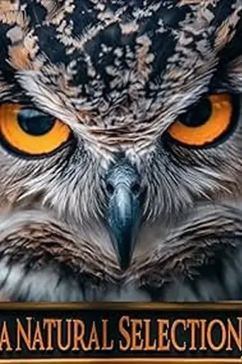 a-natural-selection-2025