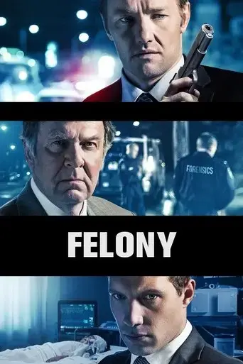 felony-2014