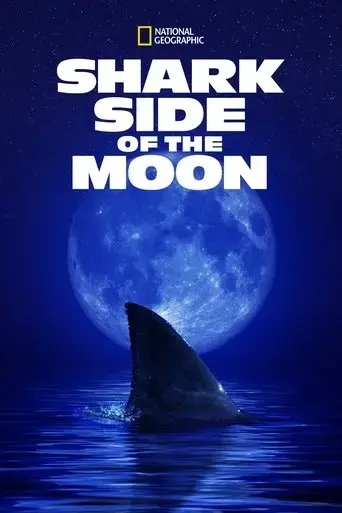 shark-side-of-the-moon-2022