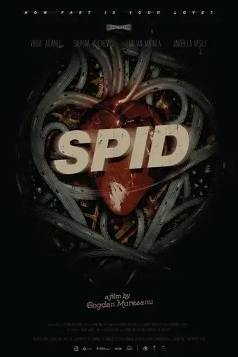 spid-2016