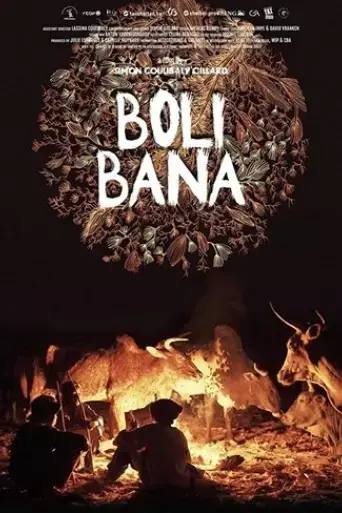boli-bana-2017