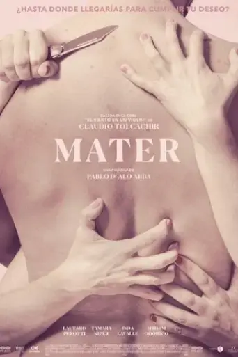 mater-2017