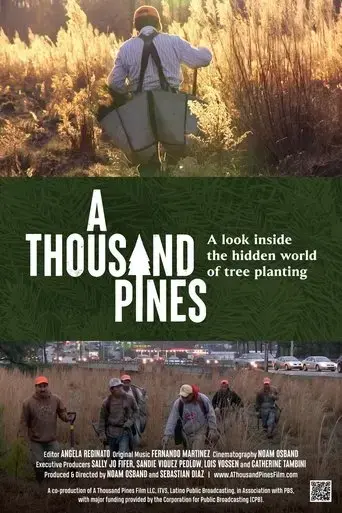 a-thousand-pines-2023