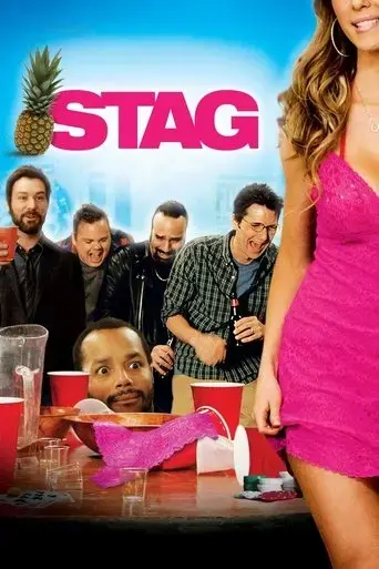 stag-2013