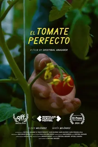 el-tomate-perfecto-2024