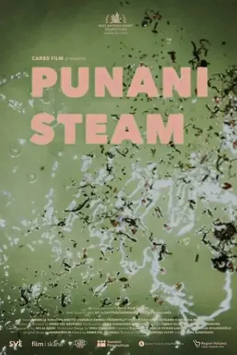 punani-steam-2021