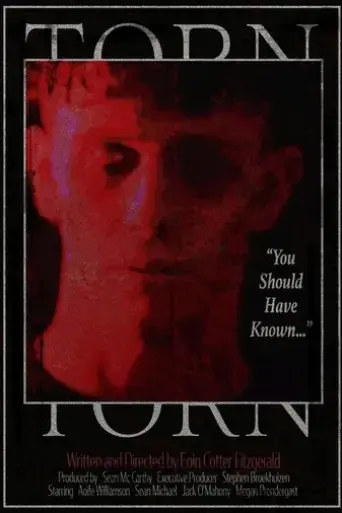 torn-2024
