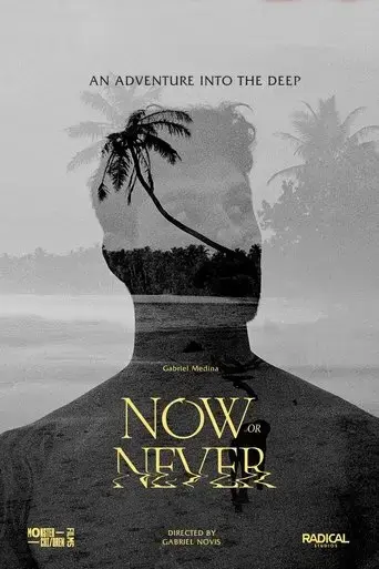 now-or-never-2024