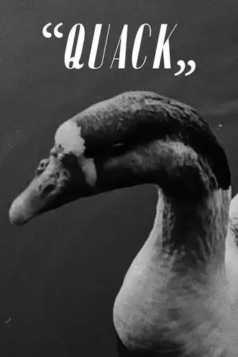 quack-2023