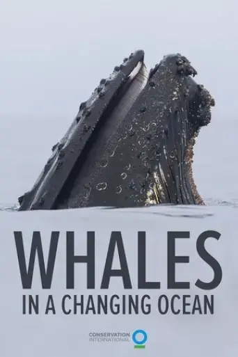 whales-in-a-changing-ocean-2021