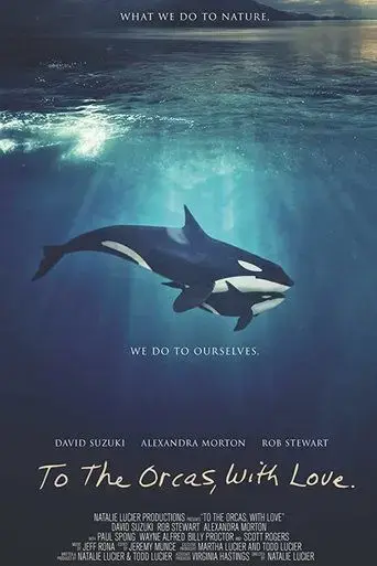 to-the-orcas-with-love-2017