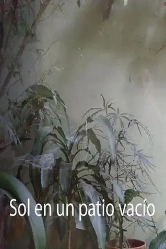 sol-en-un-patio-vacio-2017