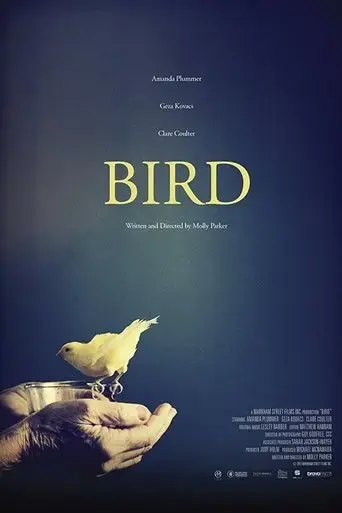 bird-2017