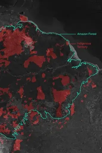 gold-mining-and-violence-in-the-amazon-rainforest-2022