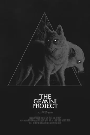 the-gemini-project-2020