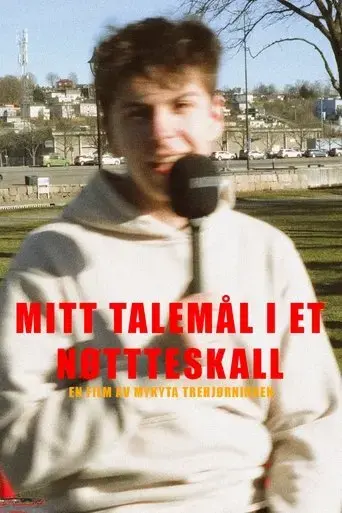 my-language-in-a-nutshell-2025
