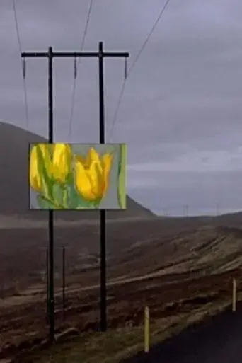 Forged Paintings in Real Icelandic Landscapes (2004)