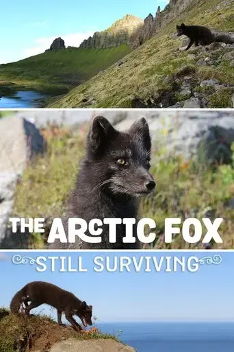 the-arctic-fox-still-surviving-2015