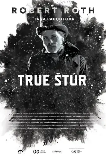 true-stur-2015