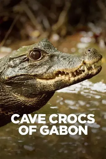 cave-crocs-of-gabon-2018