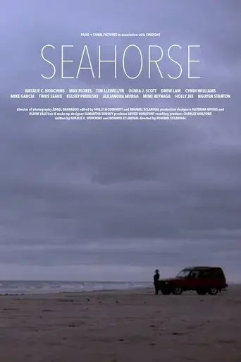 seahorse-2022