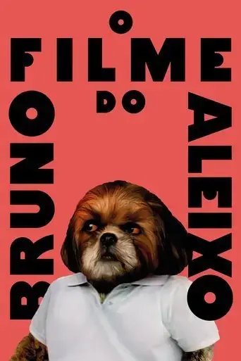 bruno-aleixo-s-film-2020
