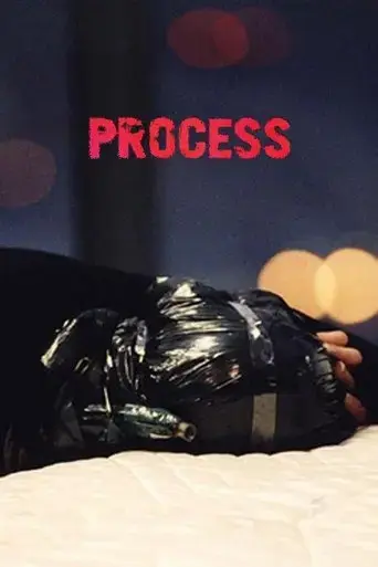 process-2004