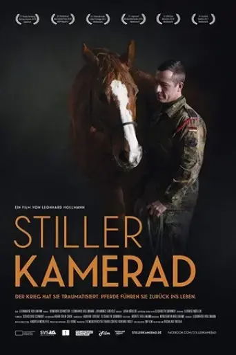 stiller-kamerad-2018