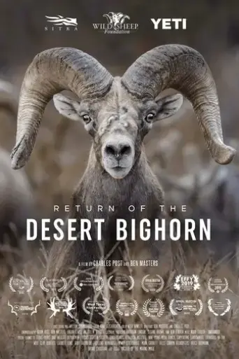 return-of-the-desert-bighorn-2018