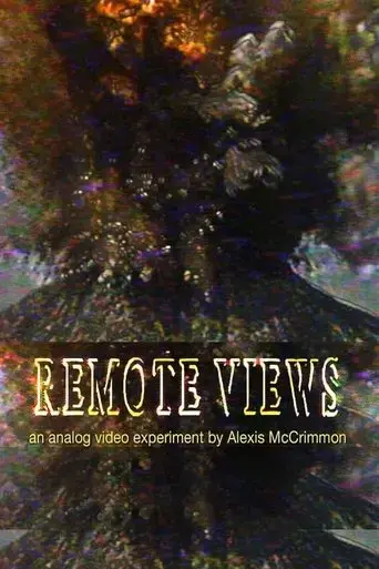 remote-views-2025