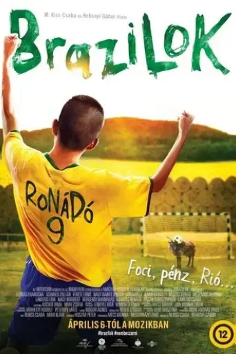 brazilok-2017