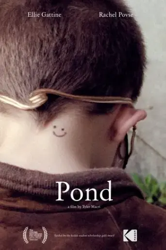 pond-2019