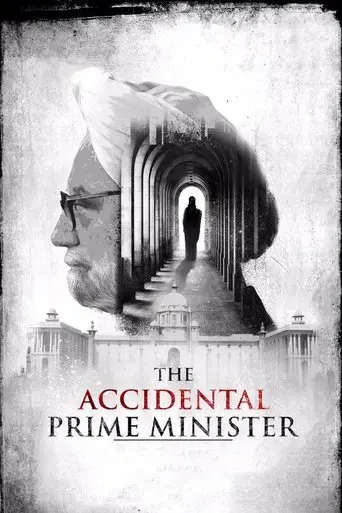 the-accidental-prime-minister-2019