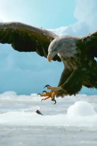 crises-on-the-comeback-trail-hokkaido-s-endangered-birds-2025