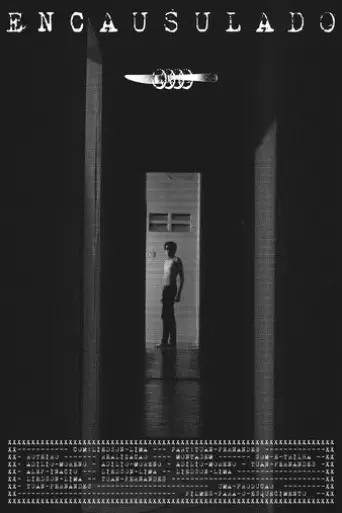 cocoon-2025