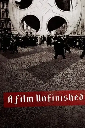 a-film-unfinished-2010
