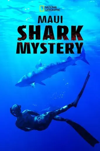 maui-shark-mystery-2022