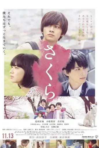 sakura-2020