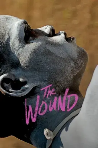 the-wound-2017