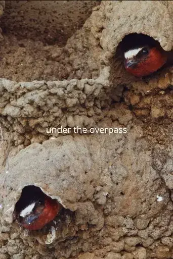 under-the-overpass-2025